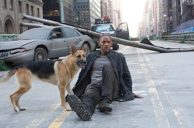 Kopegi Olanlarin Izlemesi Gereken 10 Film