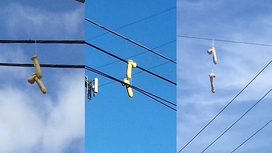 Amerika'da Elektrik Hatlarında Ortaya Çıkan Dildo Salgını