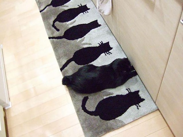 6.