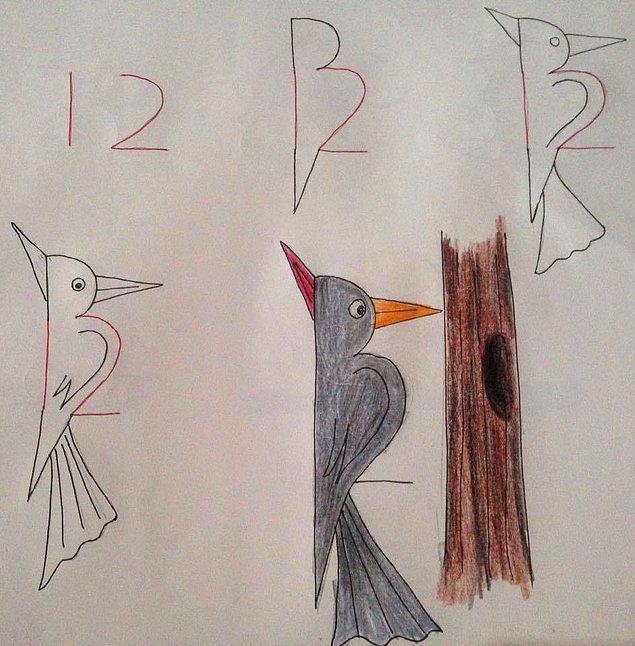 A woodpecker with 12