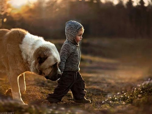 3. Выйдет на прогулку с ребенком.