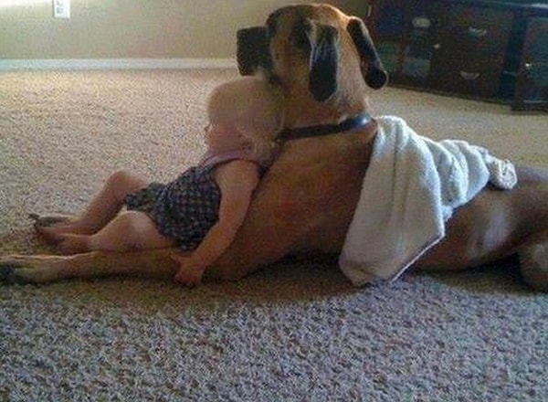 11. Вместе посмотрят мультфильмы.