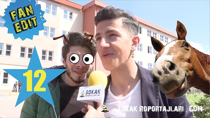 Ağustos Böceği misiniz, Karınca mı? | Sokak Röportajları