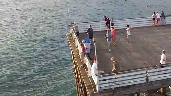 Olta ile Drone Yakalayan Balıkçı