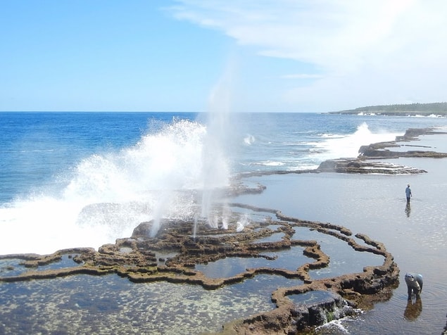 Tonga'dan bir kare.