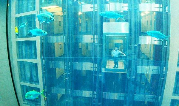 AquaDom dünyadaki en büyük tek parça silindir halindeki akvaryum. AquaDom'u görmek isterseniz Berlin'de bulunun Radisson Blu oteline gitmelisiniz.