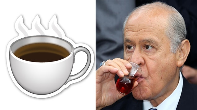 21. Devlet Bahçeli