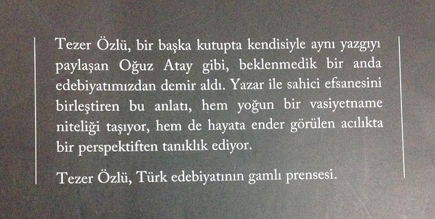 Kitabın arka kapağında da dediği gibi, Tezer Özlü edebiyatımızın gamlı prensesi. ''Yaşamın Ucuna Yolculuk'' ise gamın bizzat kendisine yürümek gibi.