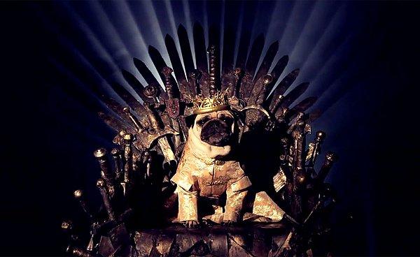 Kral Joffrey (Köpek sevimli yalnız uymamış....)