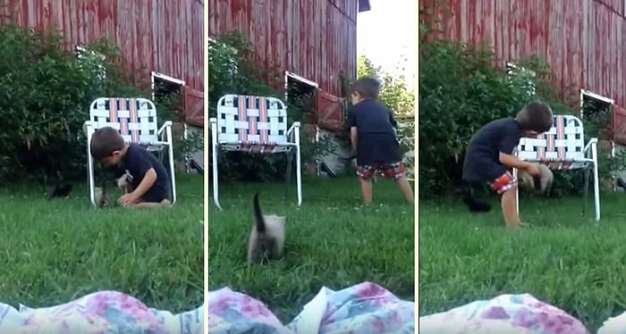 Yavru Kedilere Bakıcılık Yapmaya Çalışan Sevimli Çocuk