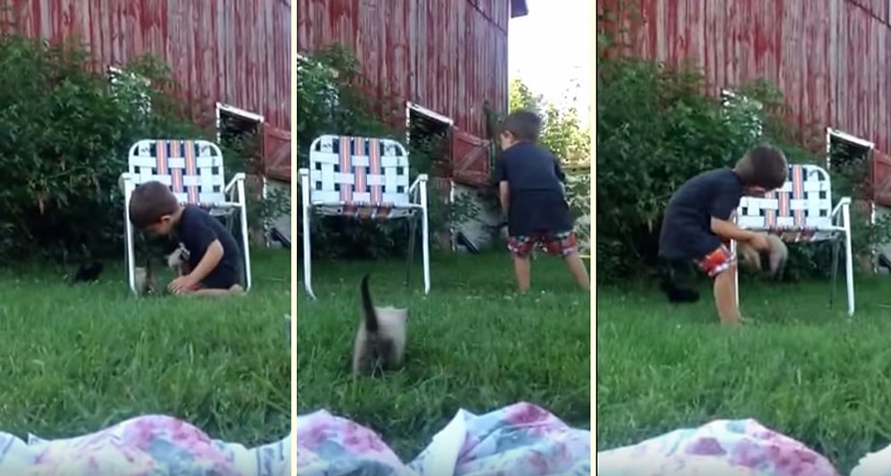 Yavru Kedilere Bakıcılık Yapmaya Çalışan Sevimli Çocuk