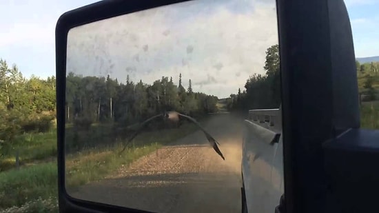 Kaybolan Kazın Aracı Takip Ederek Göle Ulaşması