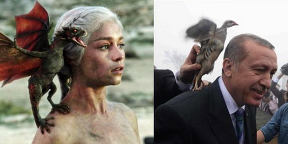 Erdoğan'ın Başına Konan Kuşa Sosyal Medyadan Mizah Denemeleri