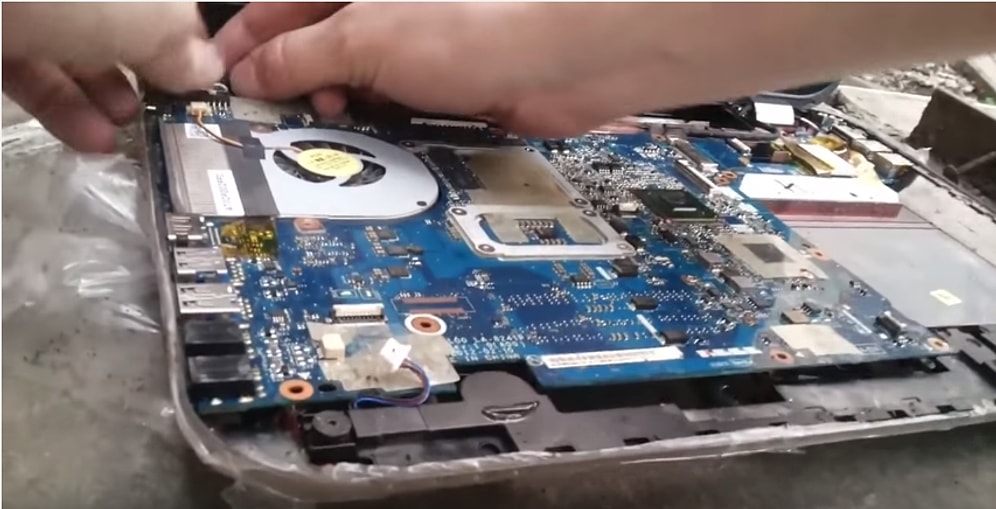 Sökülen Laptop'un İçinden Çıkan Hamam Böceği Irkı