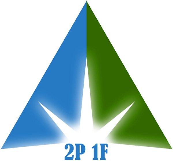 1. Para-Piyasa-Finans Topluluğu (2P-1F)