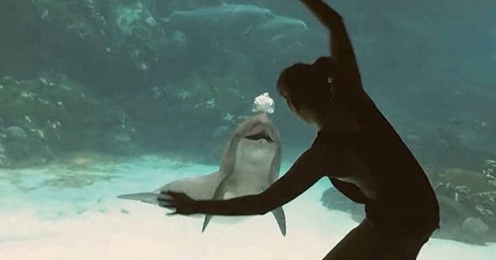Akvaryumun Önünde Dans Ederek Yunusu Güldüren Kız