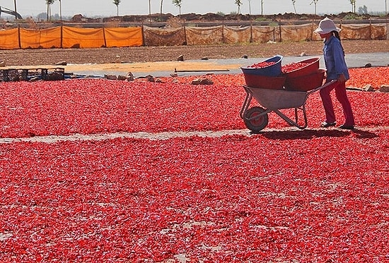 İsotun 'Acı' Yolculuğu