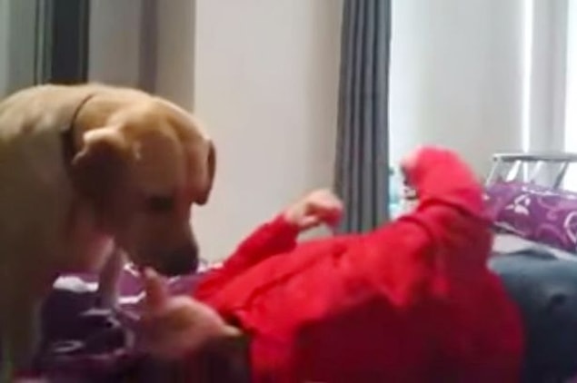 Yatak odasına kriz geçiren Shannon aşırı tükürük nedeniyle boğulmak üzereyken Poppy onu yalamaya başlıyor.