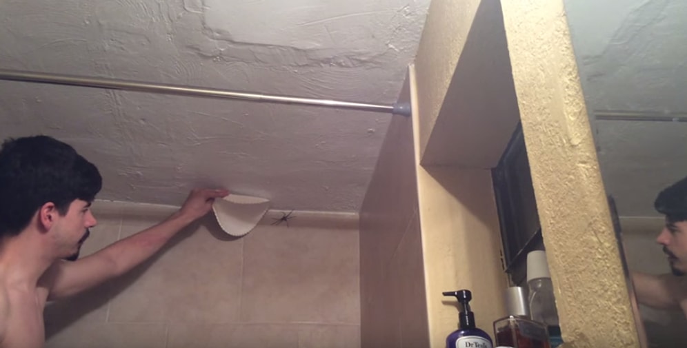 Duvardaki Örümceği Yakalama Konusunda Aşırı Beceriksiz Davranan Adam