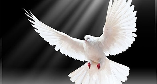 200 Aydından 1 Eylül'de Barış Çağrısı