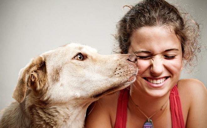 Doğada Kurduğumuz En Güzel Dostluk: Köpeklerle İlişkimiz Nasıl Başladı?