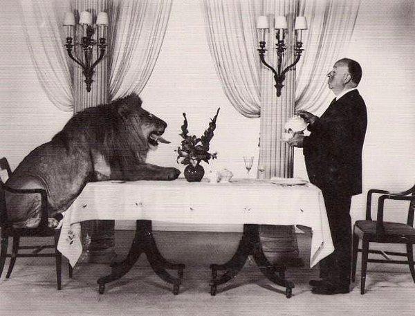 Aslan Leo 1931 yılında emekli olarak hayvanat bahçesine yerleştirilmiştir