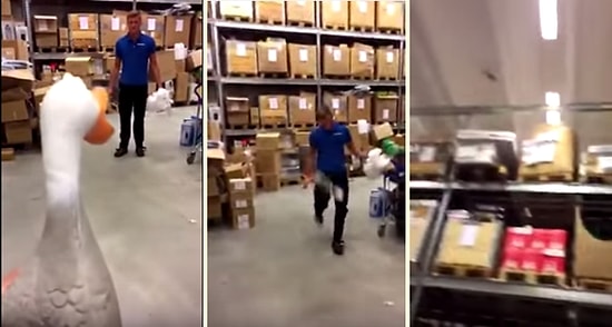 Ördek Ordusu Çığlıklarına Darbe Vurdular!