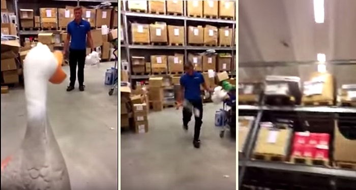 Ördek Ordusu Çığlıklarına Darbe Vurdular!