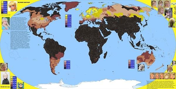 2. Dünya üzerinde sarı saçın yaygınlığını gösteren bir harita