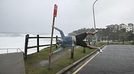 Pek Tekin Olmayan Avustralya'nın Sizi Öldürmeye Niyetli Olduğunu Kanıtlayan 36 Fotoğraf
