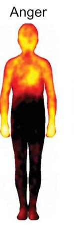 6. Öfke sırasında kollar ve ayaklara, ancak özellikle kollara hücum eden kanı (dolayısıyla sıcaklığı) görebilirsiniz.