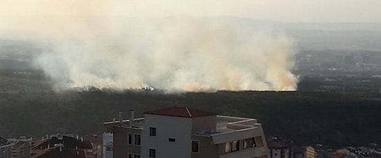 ODTÜ Ormanında Yangın