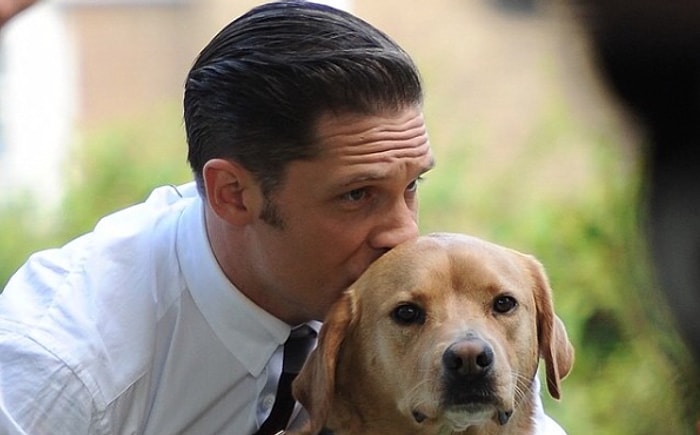 23 Görselle Köpeklere Fısıldayan Yakışıklı: Tom Hardy