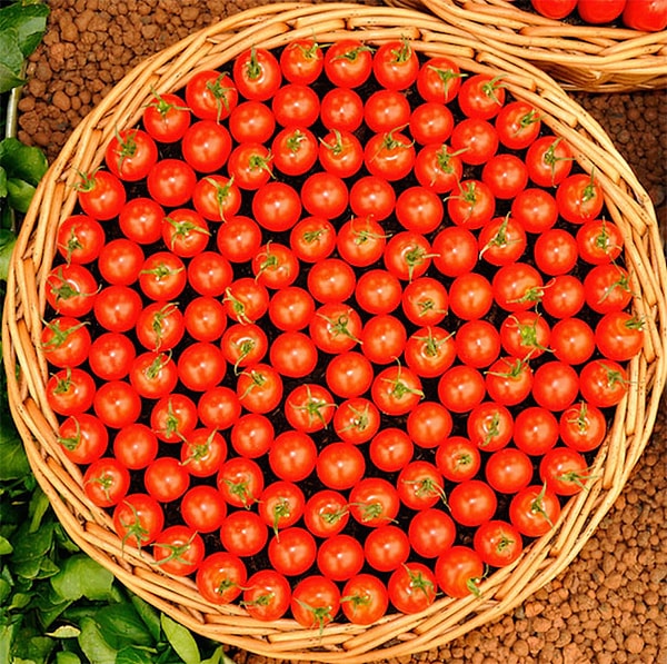 3. İçinden bir tane bile almaya kıyamayacağınız domates sepeti.