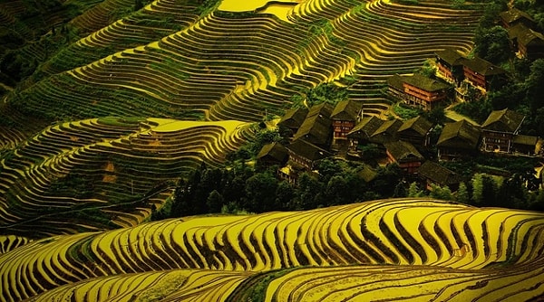 3. Дажай, Китай