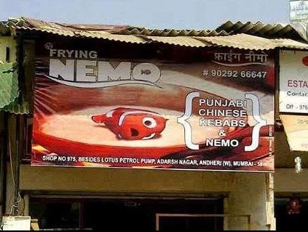 7. Kayıp Balık Nemo'nun yolu Hindistan'a düşmüş, düşmez olaymış :(
