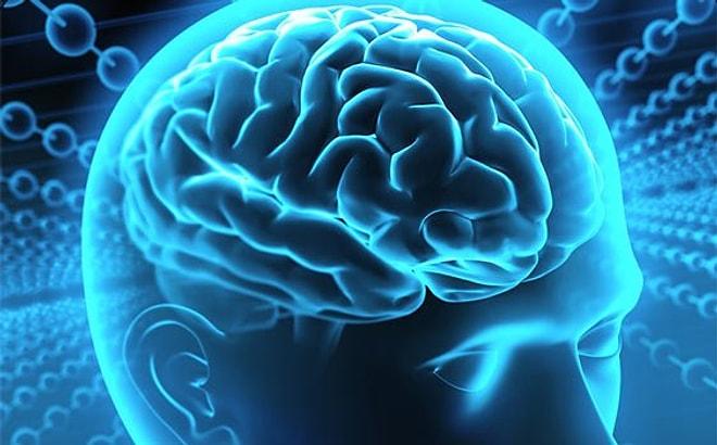 Bilim Adamları Beyinden Beyine İletişim Kurmayı Başardı