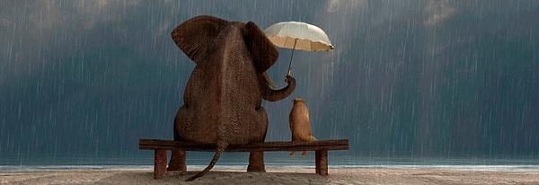 18. Birlikte yağmurun altında kaldığınızda; siz ıslanmayın diye şemsiyeyi size tutan erkek.
