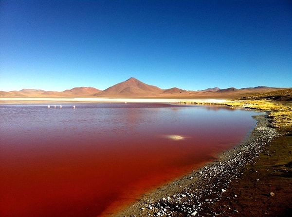 6. Laguna Colorada, Bolivya