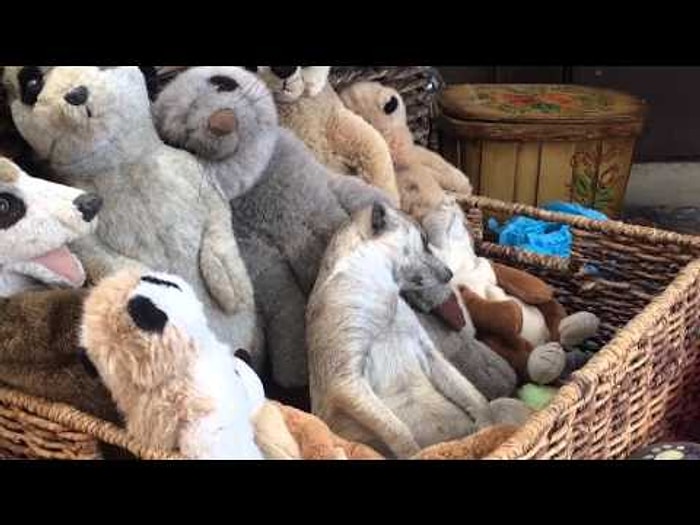 Her Gün İşte ya da Okulda Kendini Bu Sevimli Mirket Gibi Hissedenler?