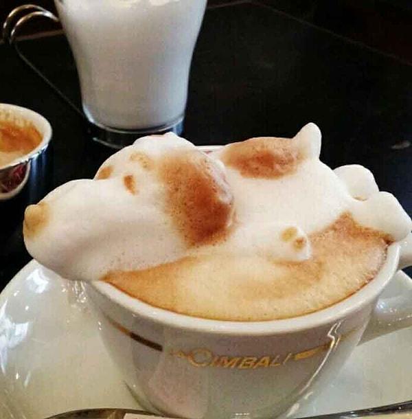 25. Snoopy kahvenizde yüzebilir.