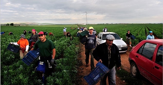 After years of striking, invasions, standing up and more, El Humoso, a 1200-hectare land was socialized in 1991.