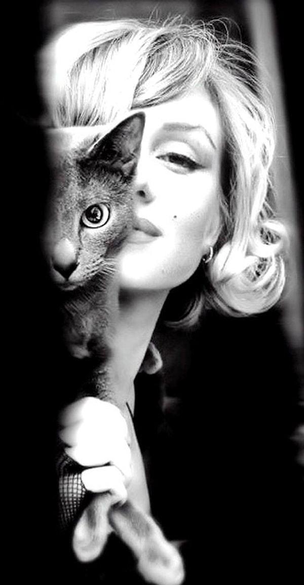 22. Marilyn Monroe ve kedisinden tam Instagram'lık bir poz.
