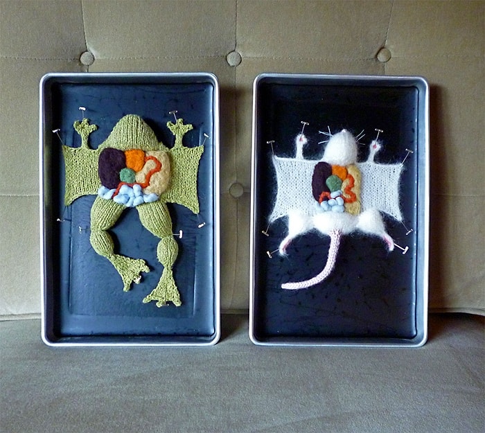 Emily Stoneking'den Anatomi Derslerini Aratmayan 15 Eğlenceli Örgü Hayvan Kadavrası