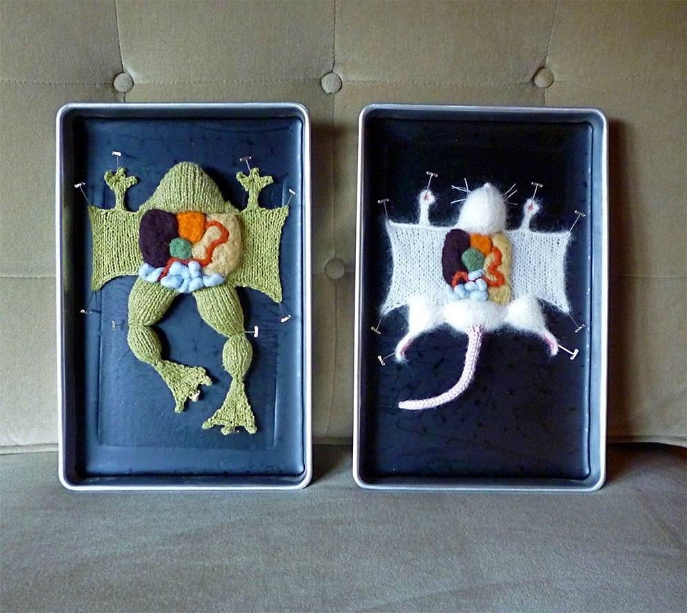 Emily Stoneking'den Anatomi Derslerini Aratmayan 15 Eğlenceli Örgü Hayvan Kadavrası