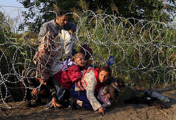 20. Suriyeli göçmenler, Sırbistan'da dikenli tellerin altından geçerek Macaristan'a girerken. (27 Ağustos)