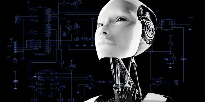 Hayatı Kolaylaştıracak Medyum Robotlar Geliştirildi