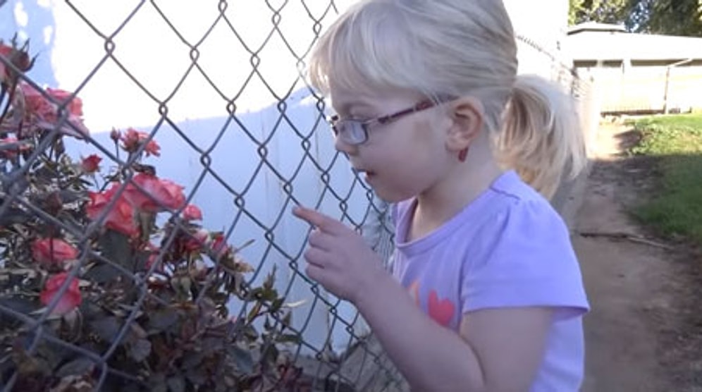 Kelebeği Bırakmak Hiçte Kolay Olmadı! Perişan Olan Ufak Kızı Brownie Bile Neşelendiremedi
