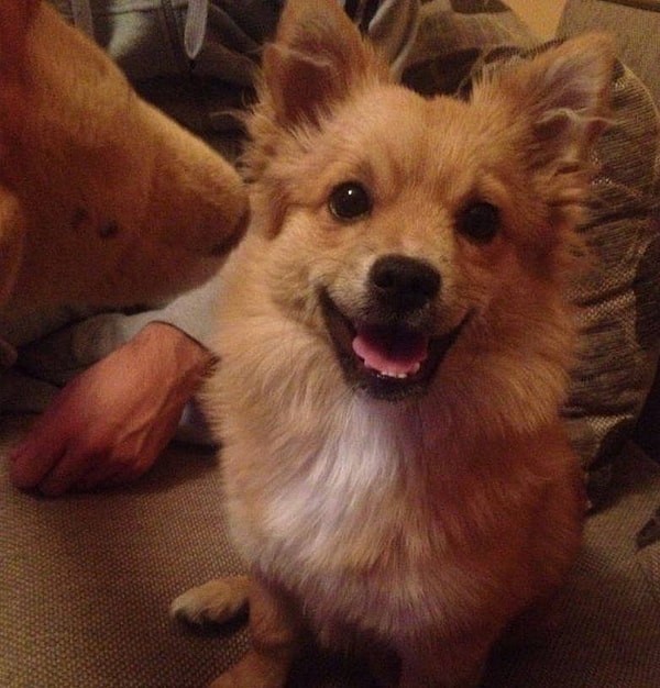 18. Мы неотразимы и готовы позировать фотографу даже в час ночи