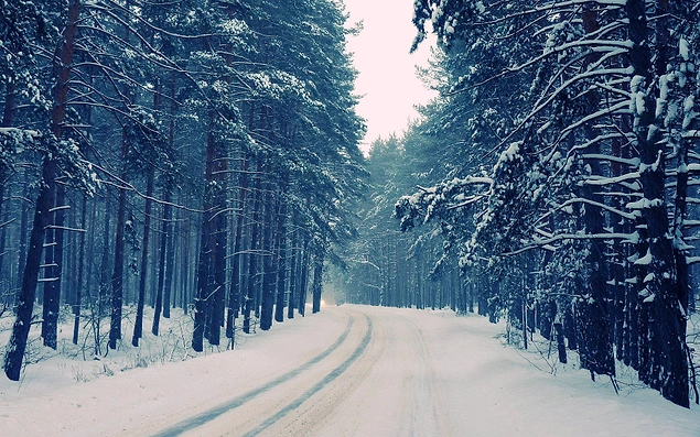 2-11 Декабря